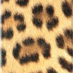 Animal Print Carlo