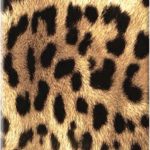 Animal Print Costanzo